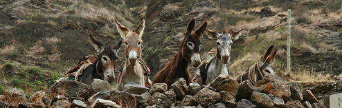 La Fondamentale