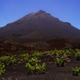 La Bouillonnante / La Bouillonnante (Santiago/Fogo/Boavista)